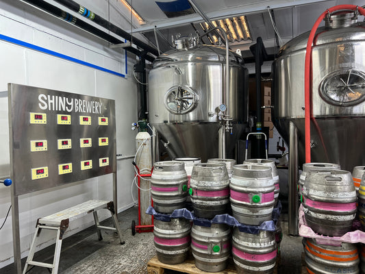 Q&A with our director, Pedro!