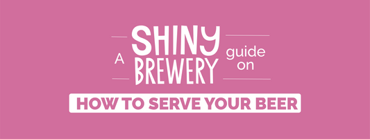 A Shiny Guide on How To Serve Your Beer (Properly)